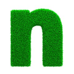 Image showing Grass Letter Isolated on White.