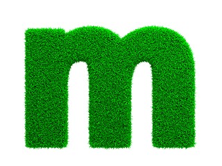 Image showing Grass Letter Isolated on White.