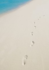 Image showing tropical beach