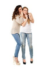 Image showing Attractive young gossipy women