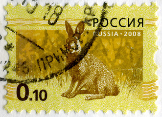 Image showing RUSSIA - CIRCA 2008: Stamp printed in RUSSIA showing hare Bunny 