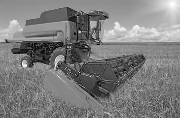 Image showing combine harvester on a wheat field with a blue sky