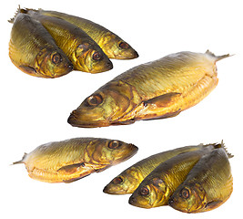 Image showing Set fresh sea fishes lie nearby on a white background