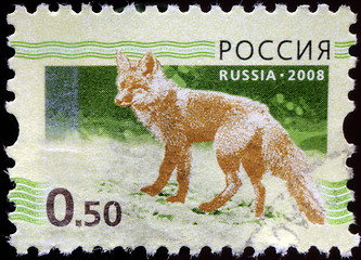 Image showing RUSSIAN-CIRCA 2008: A stamp printed in the Russian Federation, s