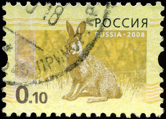 Image showing RUSSIA - CIRCA 2008: Stamp printed in RUSSIA showing hare Bunny 