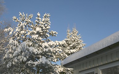 Image showing Rooftop and treetops