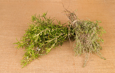 Image showing Rosemary and thyme