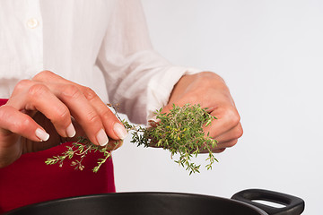 Image showing Seasoning with thyme