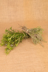 Image showing Rosemary and thyme