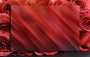 Image showing Red Roses Background