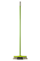 Image showing Green Broom