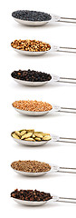 Image showing Herbs and spices measured in metal tablespoons