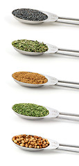 Image showing Herbs measured in metal teaspoons