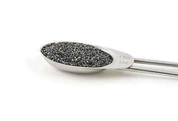 Image showing Poppy seeds measured in a metal teaspoon
