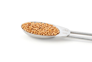 Image showing Whole mustard seeds measured in a metal teaspoon