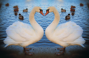 Image showing Valentine swans