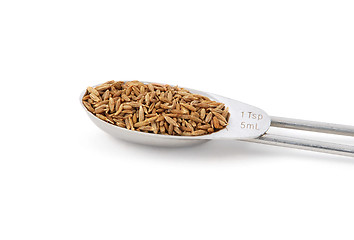 Image showing Whole cumin seeds measured in a metal teaspoon