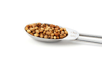 Image showing Whole coriander or cilantro seeds measured in a metal teaspoon