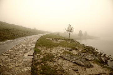 Image showing Misty morning