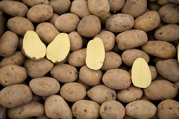 Image showing Fresh potatoes