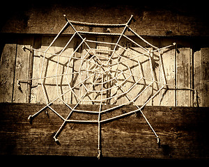 Image showing Spider web