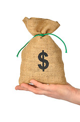 Image showing Money Bag