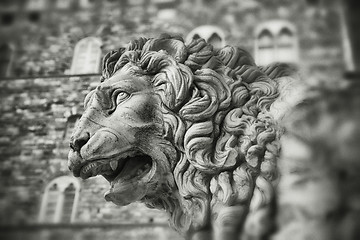 Image showing Stone lion - Florence