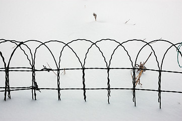 Image showing Fence