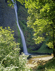 Image showing Latourel Falls, Oregon