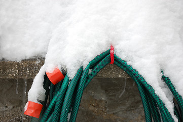 Image showing Garden hose