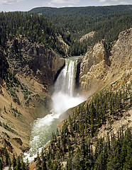 Image showing Lower Falls, Yellowstone National Park, Wyoming, 