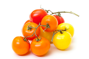 Image showing Multicolored Ripe Fresh Tomatoes