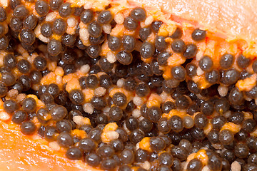 Image showing Seed Fresh Papaya