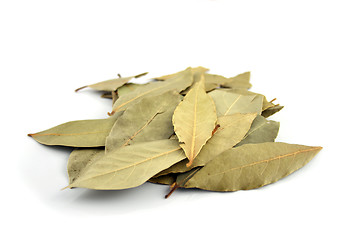 Image showing Spice - Bay Leaves