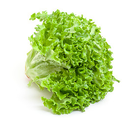 Image showing Fresh Salad Lettuce