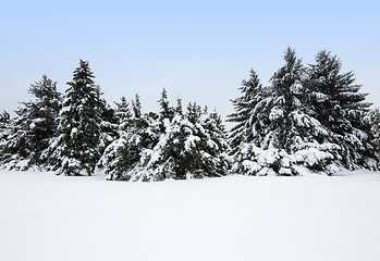 Image showing Winter landscape after the snowstorm