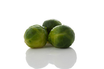 Image showing Fresh brussels sprout