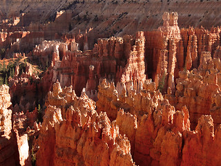 Image showing Bryce Canyon Views