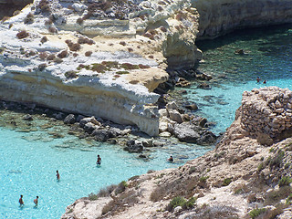 Image showing particular of island of rabbits. Lampedusa- Sicily