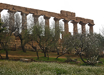 Image showing Greek temple of Agrigento