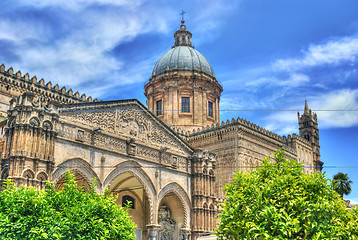 Image showing Cathedral of Palermo- Sicily