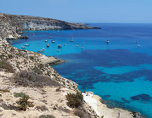 Image showing Boats on the island of rabbits- Lampedusa, Sicily