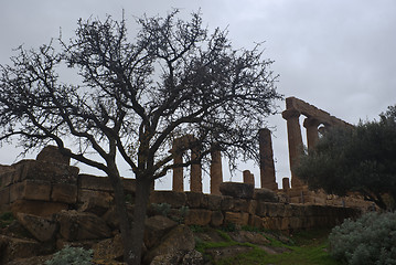 Image showing Greek temple of Agrigento