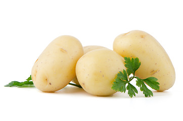 Image showing New potatoes and green parsley