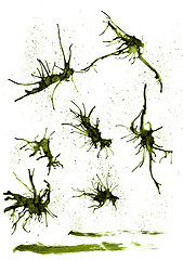 Image showing Ink splashes