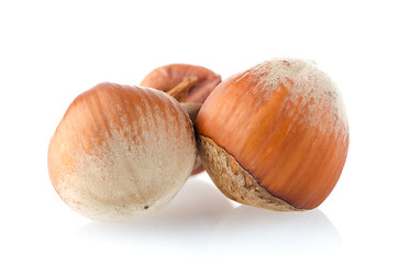 Image showing Three hazelnuts
