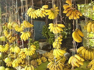 Image showing Banana shop