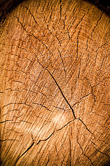 Image showing Crack wood spiral 