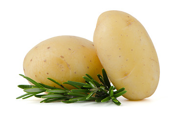 Image showing New potato and green parsley