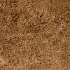 Image showing Brown leather texture closeup